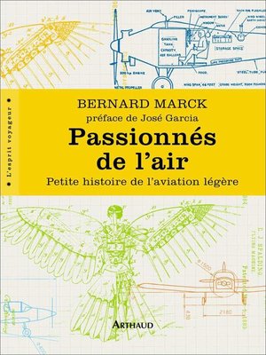cover image of Passionnés de l'air. Petite histoire de l'aviation légère